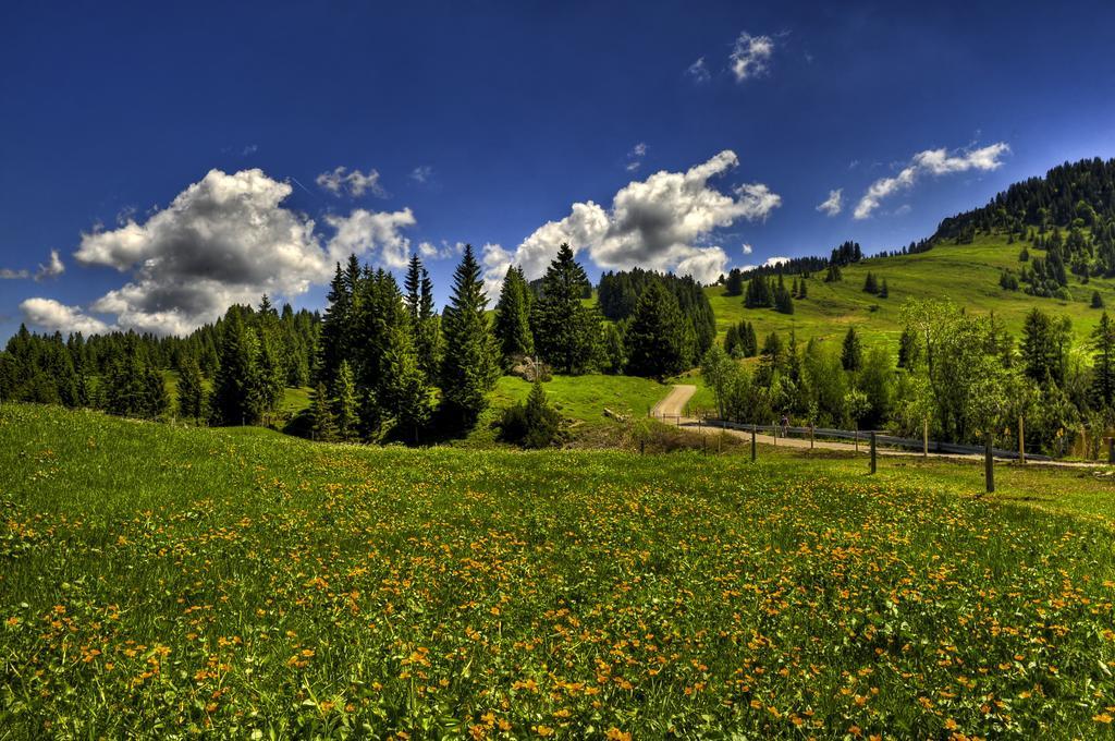 H+ Hotel Oberstaufen Exteriér fotografie